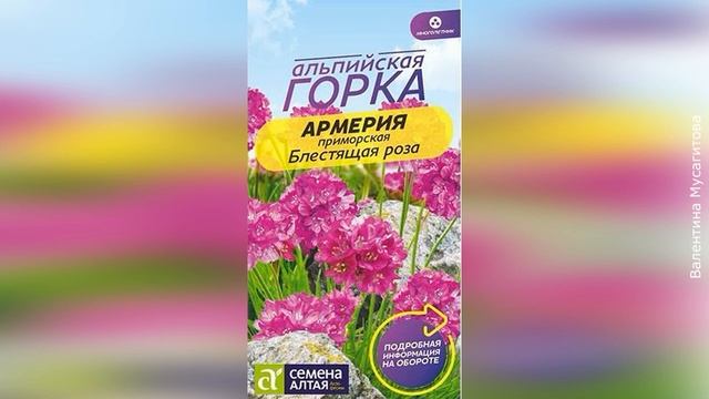 ❀ Бюджетные новинки многолетних цветов 2022 года, которые можно вырастить через рассаду смотреть онлайн