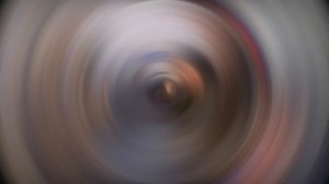 Дени и Мэни на первом канале ???Кот выполняет команды ?