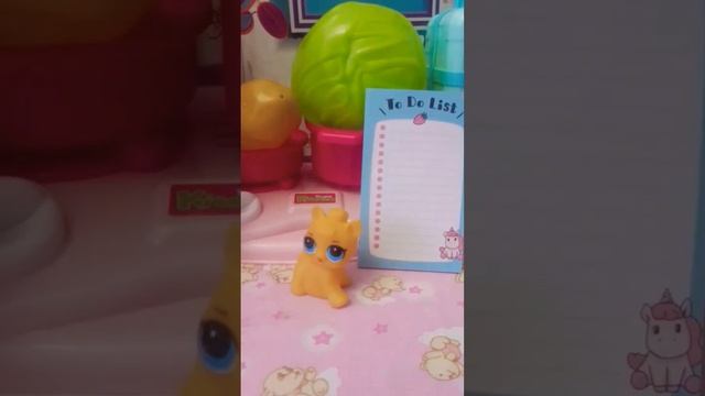 А потом суп с котом