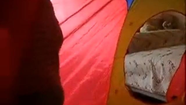 Сашин день рождения смотреть онлайн