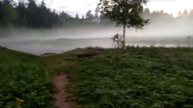 САЙЛЕНТ ХИЛЛ на ОРЕДЕЖЕ. Лялин Луг. смотреть онлайн