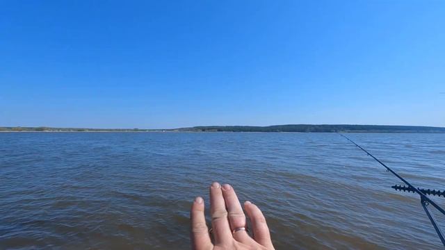 СТОИТ ЛИ ПЕРЕПЛАЧИВАТЬ? Добавка от TRAPER. Рыбалка на фидер.