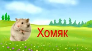 Чудесная Азбука. Буква Х.