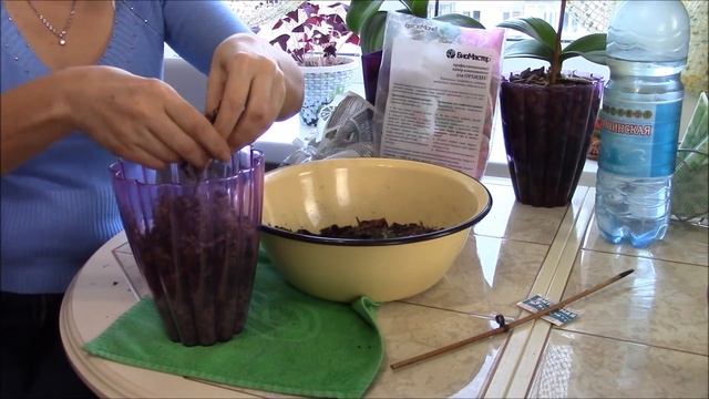 Перасадка орхидеи в закрытое кашпо. смотреть онлайн