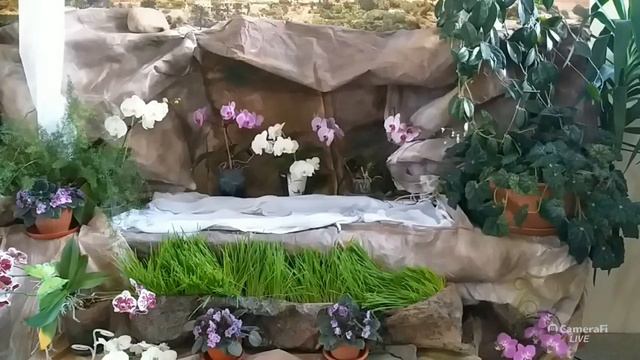 13.04.2020 Понедельник в Октаве Пасхи - Венчик Божьему Милосердию 15.00 смотреть онлайн