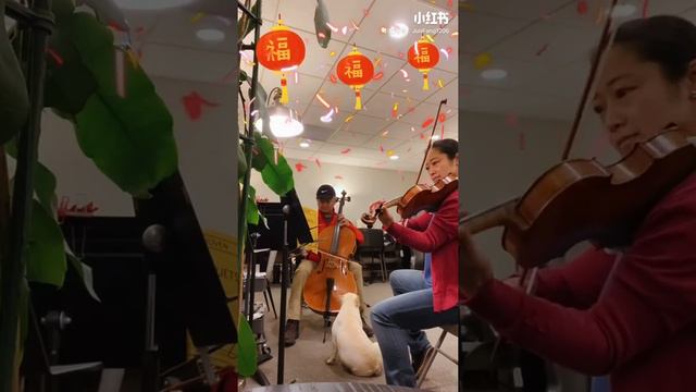Happy New Year🎈🎈🎈 Beethoven Duet for Violin and Cello 贝多芬二重奏for 小提琴和大提琴 смотреть онлайн