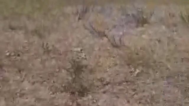 Богарные земли! Будущее место установки водяного насоса Гидротаран Рогозина. смотреть онлайн