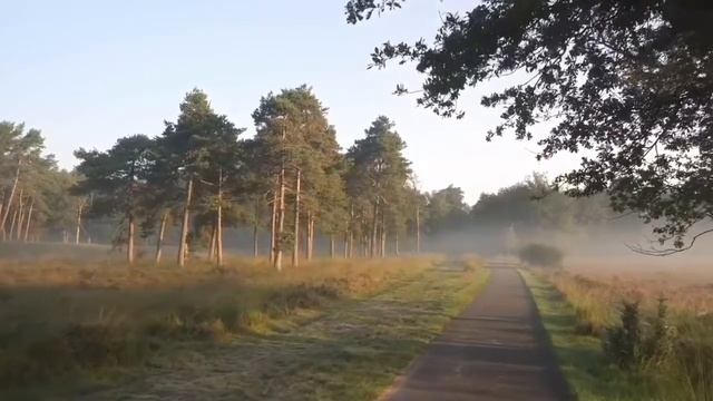 11 Декабря 2020 года Пятница 12-е Убывающие Лунные сутки смотреть онлайн