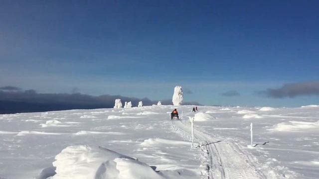 Маньпупунер 2020 смотреть онлайн