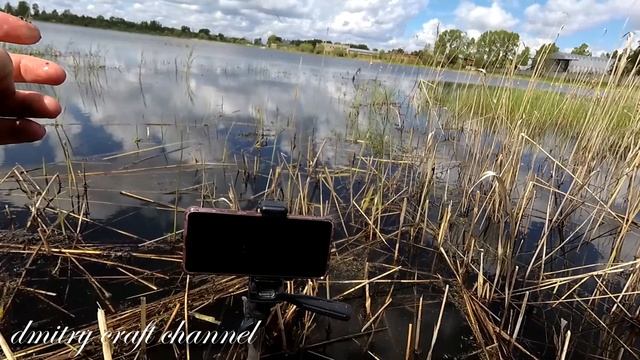 КАРАСИ??? КЛЮЮТ в КАМЫШАХ?/ майский клёв на удочку! смотреть онлайн