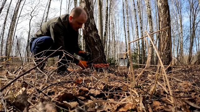 Эпичная битва с пнём один на один. Пробую выкорчевать пень без опыта на участке в березовой роще. смотреть онлайн