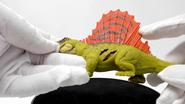 WHAT'S IN THE BOX?! JURASSIC WORLD DOMINION DIMETRODON