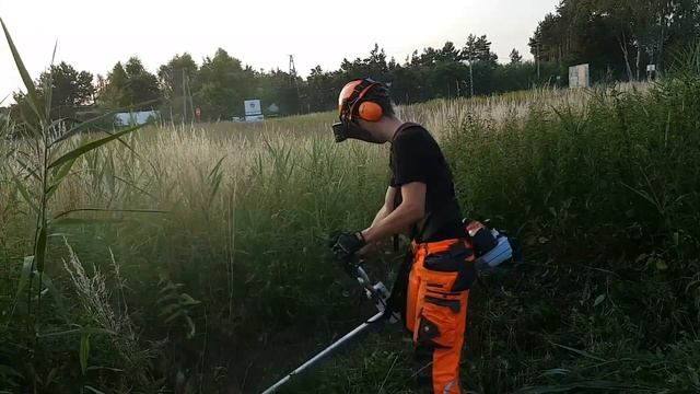 Nowy nabytek Stihl FS-490 C-EM first mowing смотреть онлайн