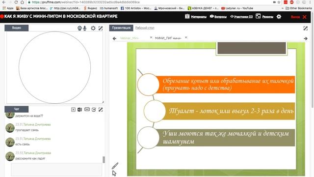 ВЕБИНАР: Как я живу с мини-пигом в московской квартире смотреть онлайн