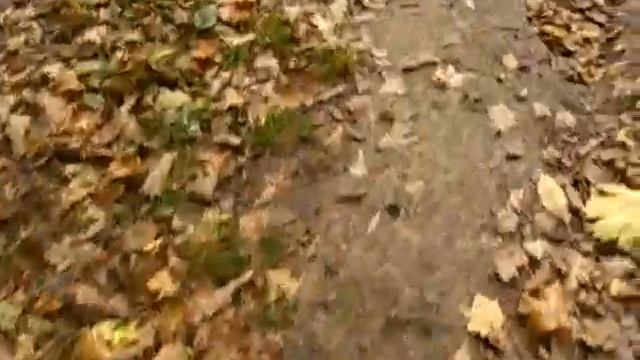 Про осеннее дурака-валяние босиком и многое многое другое... смотреть онлайн