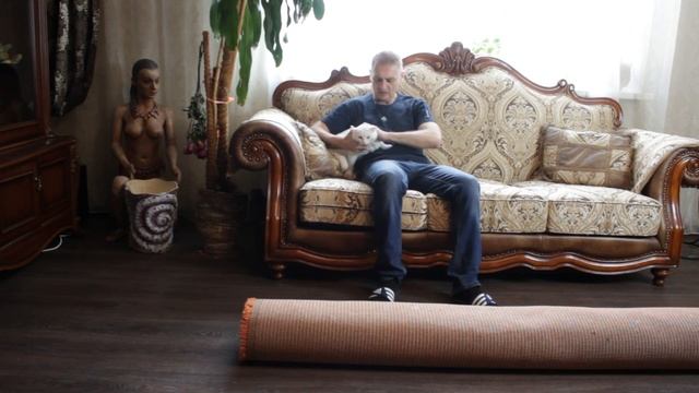 Как сделать кота невидимымым? смотреть онлайн