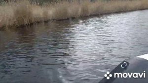 Лодочный мотор гибрид, ветерок 8 выход на глиссер