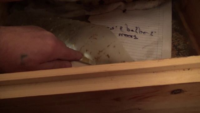 Два месяца зимовки Свежие новости смотреть онлайн