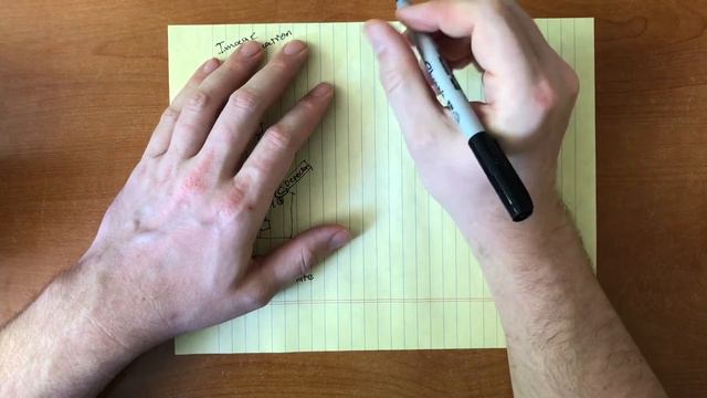 Eric Draws Microscopy: How Images are Formed смотреть онлайн