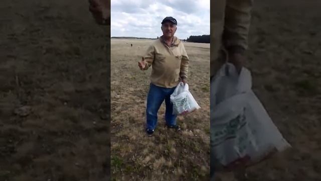 Сбор чабреца (богородская трава, тимьян) смотреть онлайн