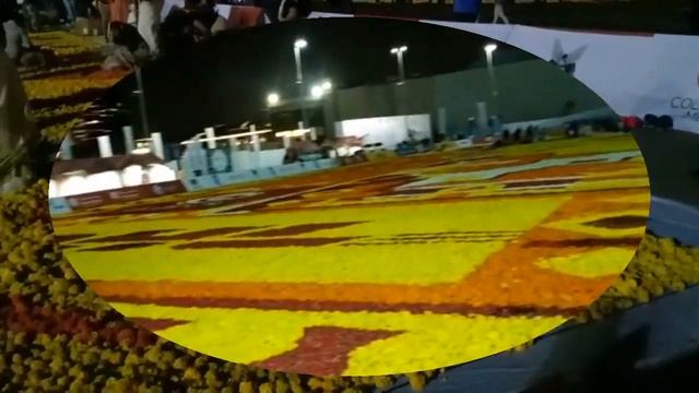 #Guinness world record #world's largest flower carpet#AKCAF#festival city mall смотреть онлайн
