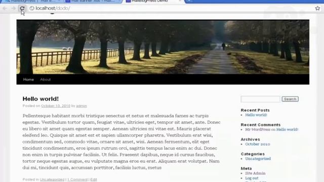 WordPressTutorials.TV WordPress Tutorial MaxBlogPress Banner Ad Plugin смотреть онлайн