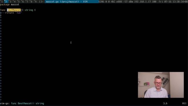 Getting started with vim Go смотреть онлайн
