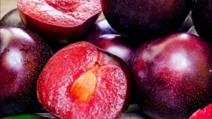 ШАРАФУГА: «три в одном» (гибрид персика, абрикоса и сливы)