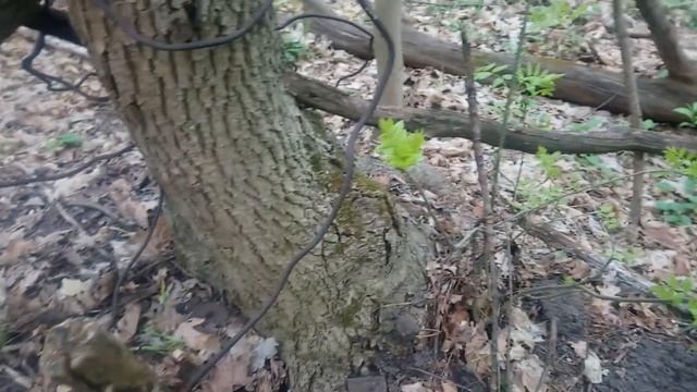 Сбор Металлолома при КАРАНТИНЕ . Выживание Без Работы смотреть онлайн