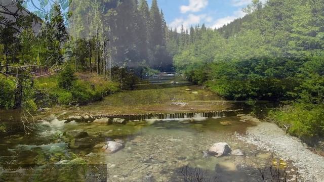 Расслабляющая музыка для отдыха ума ☘️ стресса, медитации, расслабления и сна | Relax music #9 смотреть онлайн