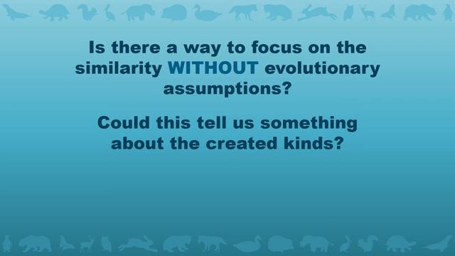 Ask a Creationist: Baraminology 101 смотреть онлайн