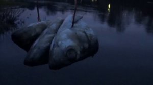 Авторский ритуал Инги Хосроевой. Чтобы ребенок заговорил... Развязать язык... для всех.