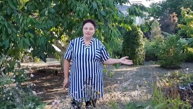 Мавританский газон – природный, луговой, разнотравный и экзотический! смотреть онлайн