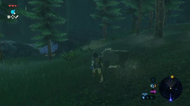 Обзор Nintendo Switch в 2021 - все уже сказано до нас | Чего ждать от новой приставки Switch Pro?