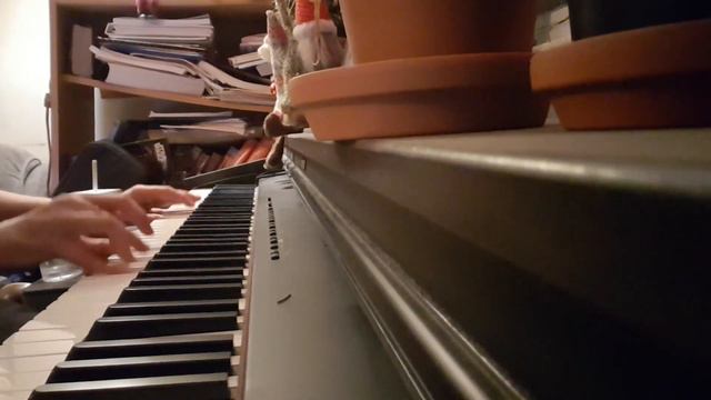 Improv 1,107: Follow the Gnomes (Roland digital piano) смотреть онлайн