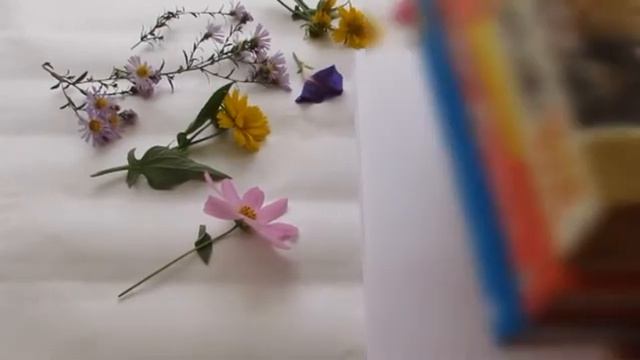 Гербари тайёрлаш жараёни (Как изготовит гербари) (Herbarium preparation process) смотреть онлайн
