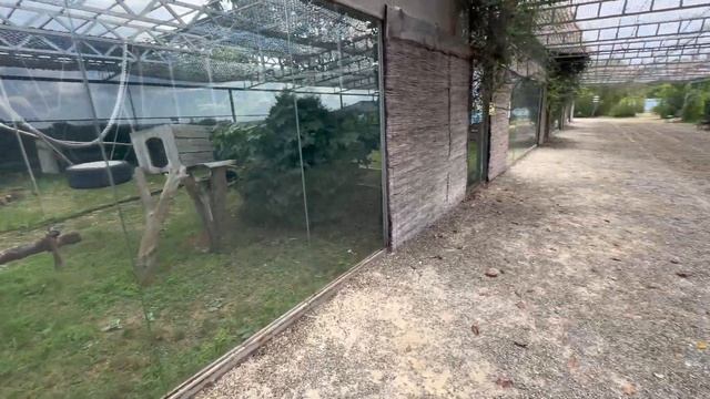 Парк живой природы / Каждый год сюда приезжаем / Замариновала алычу / Анапа смотреть онлайн