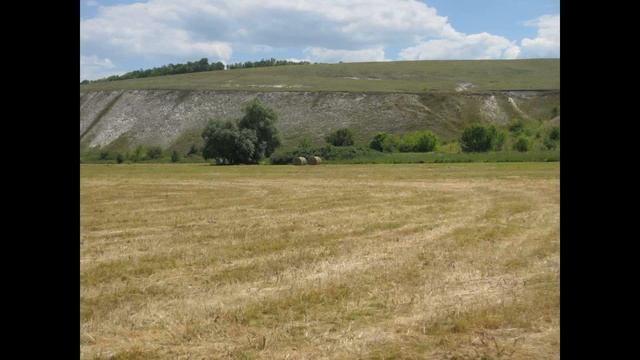 сенокос на лугу смотреть онлайн
