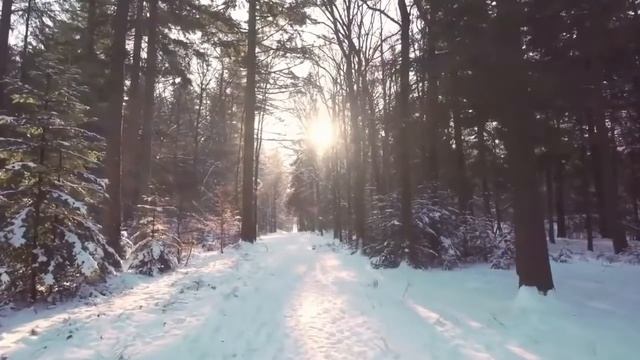 Лучшие песни иеромонаха Романа смотреть онлайн