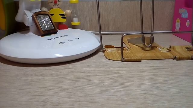 Пою песню Екатерины Манешиной ,, Я выбираю свет" смотреть онлайн