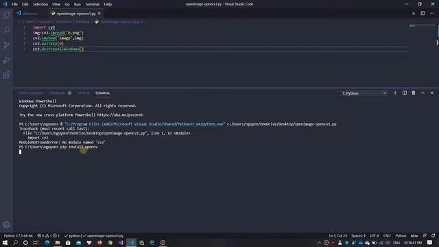 Mở một hình ảnh bằng opencv-python trên vscode смотреть онлайн