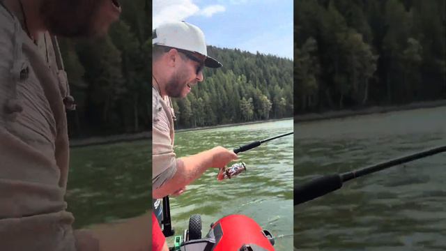 ШОК!!! СОМ НА ТРОЛЛИНГ!!! УДАЧНАЯ РЫБАЛКА. Эмоции переполняют. Павловское водохранилище. смотреть онлайн