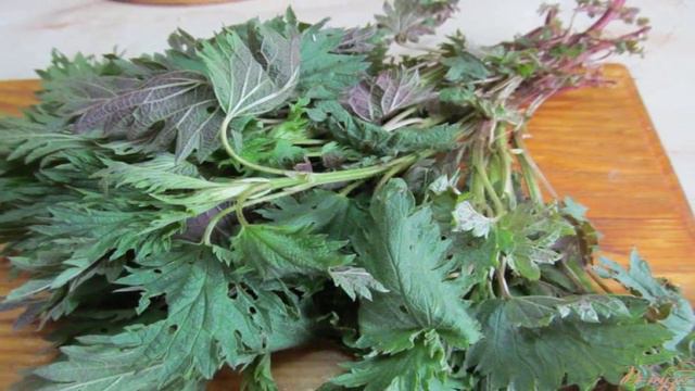 Рецепты от шеф-повара