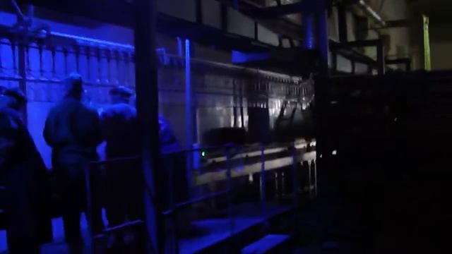 Навеска птицы при ультрафиолетовом освещении смотреть онлайн
