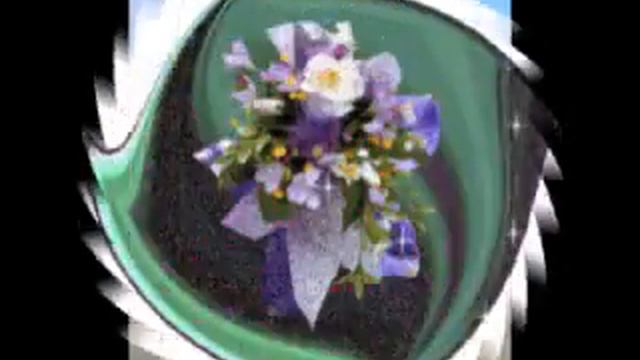 DESERT ROSE VIDEO смотреть онлайн