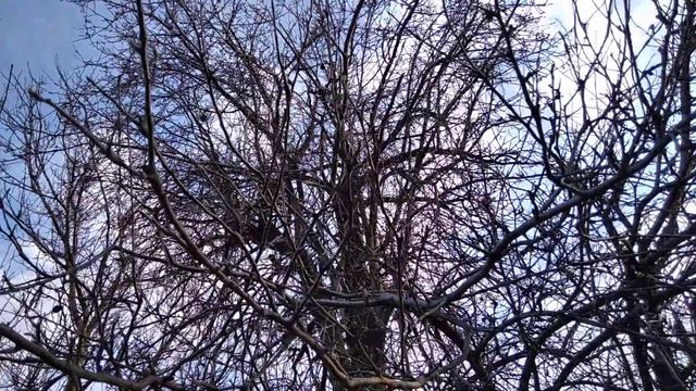 Може пора квітень перейменувати? смотреть онлайн