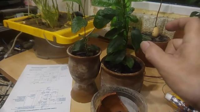 Печатная плата из банки кофе Nescafe для навесного монтажа на водопроводной трубе DIY технологии. смотреть онлайн