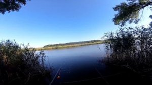 РЫБАЛКА НА КОРМАКИ ВОТ ЭТО КЛЕВ!