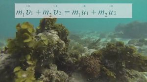 Принципы полета - Основы авиации #1