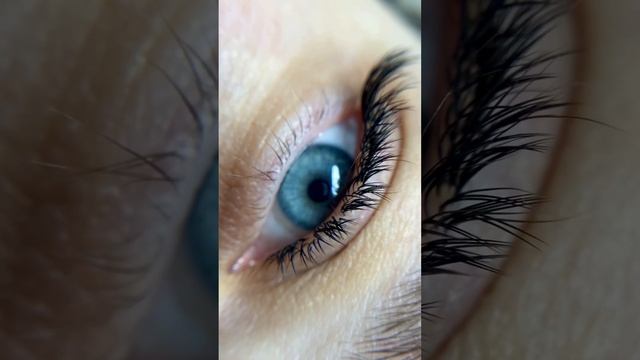 Cute вс/0,1/2д смотреть онлайн